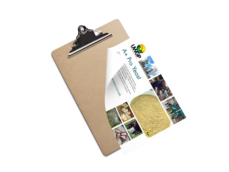 A+-pro-yeast-sell-sheet-mockup