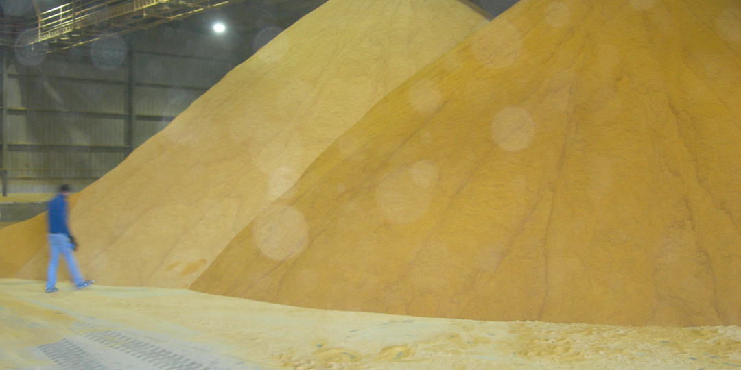 Two-large-piles-of-grains-in-facility